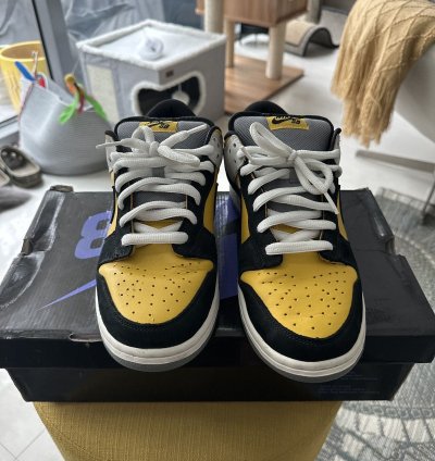Nike Sb Dunk Low Bic