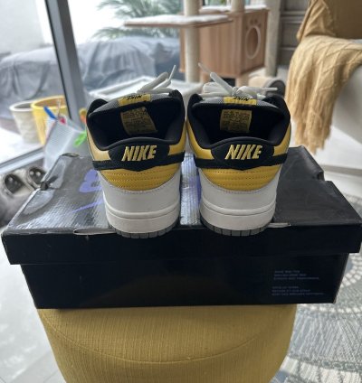Nike Sb Dunk Low Bic