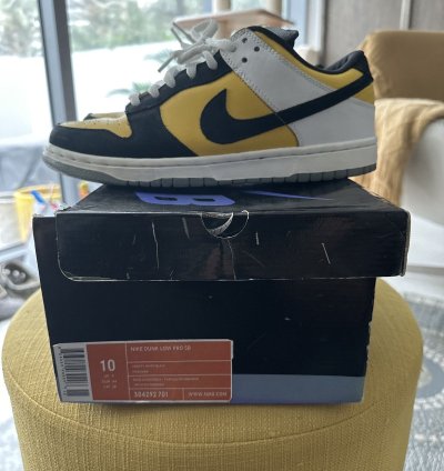 Nike Sb Dunk Low Bic