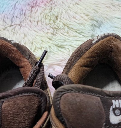 Nike Sb Dunk Low Bison