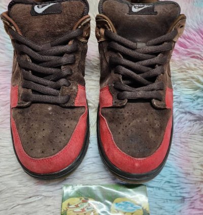 Nike Sb Dunk Low Bison