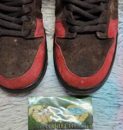 Nike Sb Dunk Low Bison