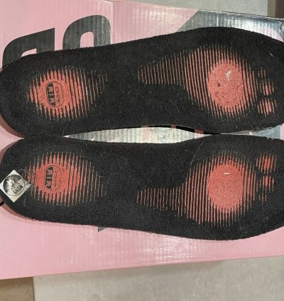 Nike Sb Dunk Low Black Pigeon Autographed