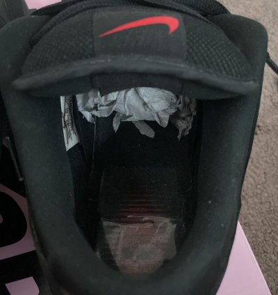 Nike Sb Dunk Low Black Pigeon Jeff Staple