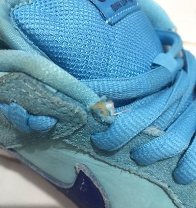 Nike Sb Dunk Low Blue Fury