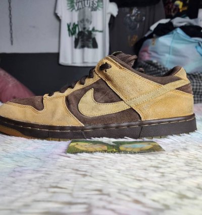 Nike Sb Dunk Low Brown Pack