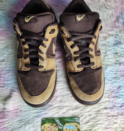 Nike Sb Dunk Low Brown Pack