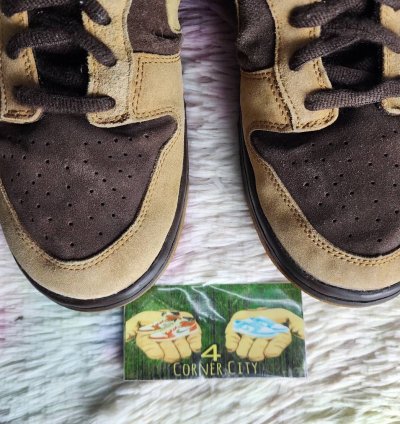 Nike Sb Dunk Low Brown Pack