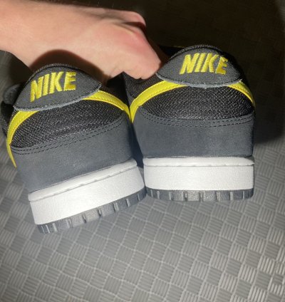 Nike Sb Dunk Low Butthead