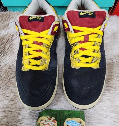 Nike Sb Dunk Low Coral Snake