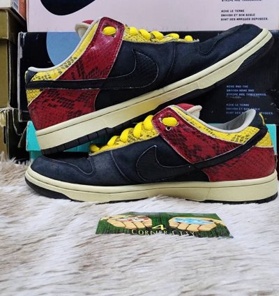 Nike Sb Dunk Low Coral Snake