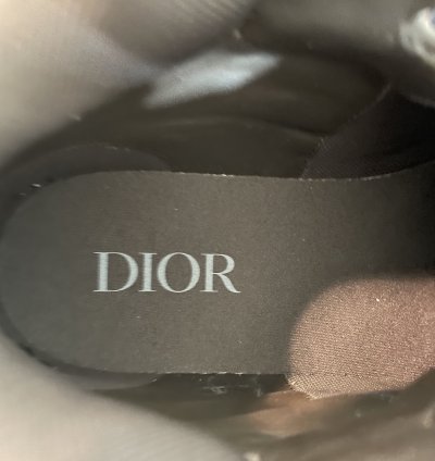 Hiking Boots Brown Blue Dior