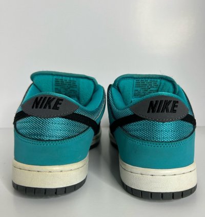 Nike Sb Dunk Low Dusty Cactus