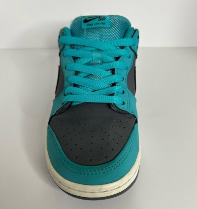 Nike Sb Dunk Low Dusty Cactus