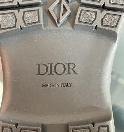 Hiking Boots Brown Blue Dior