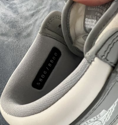 Jordan 1 Retro High Dior