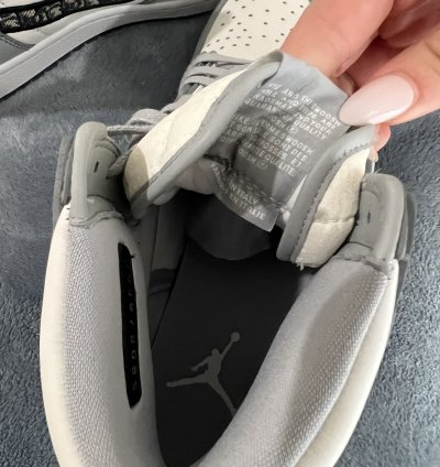 Jordan 1 Retro High Dior