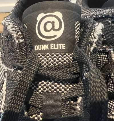 Nike Sb Dunk Low Elite Medicom Bearbrick