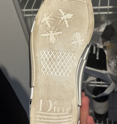 Men Dior Lows