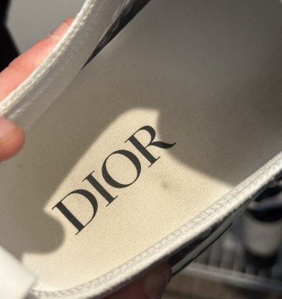 Men Dior Lows