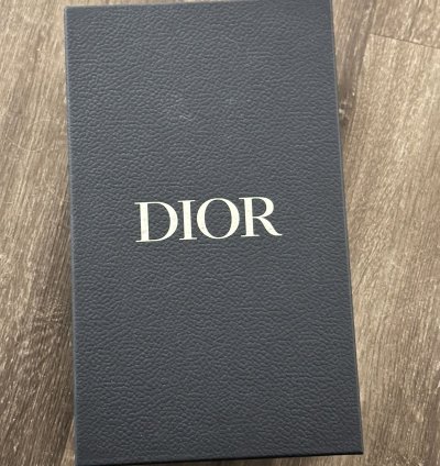 Men Dior Lows