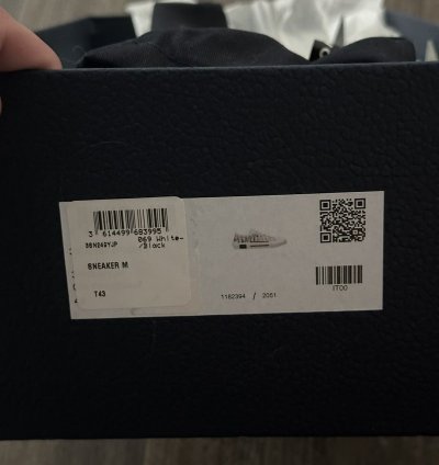 Men Dior Lows