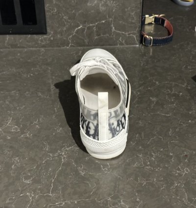 Men Dior Lows