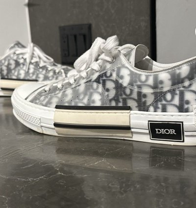 Men Dior Lows