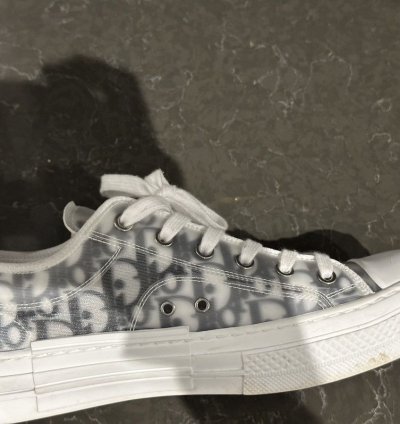 Men Dior Lows