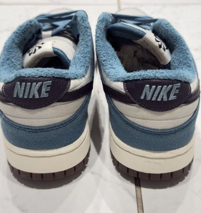 Nike Sb Dunk Low Next Nature Toasty