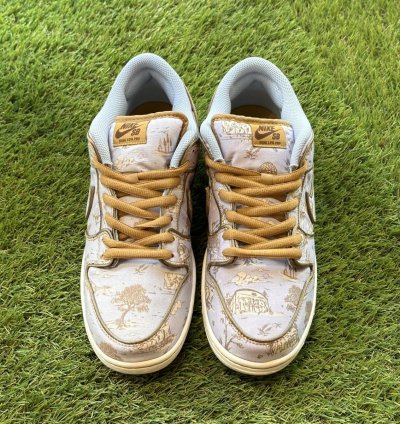 Nike Sb Dunk Low Premium City Of Style - Fn5880 001