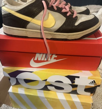 Nike Sb Dunk Low Premium Golf