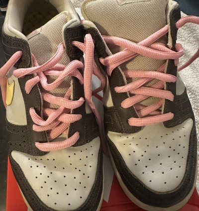 Nike Sb Dunk Low Premium Golf
