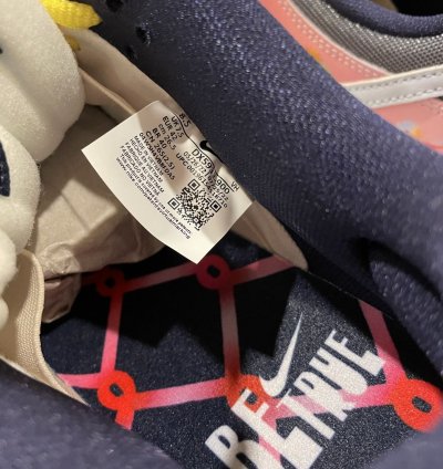 Nike Sb Dunk Low Pro Be True Xavier Schipani