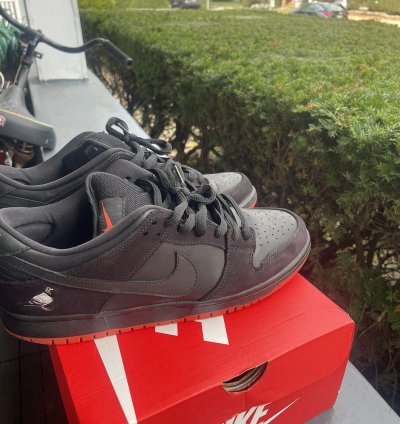Nike Sb Dunk Low Pro Black Pigeon