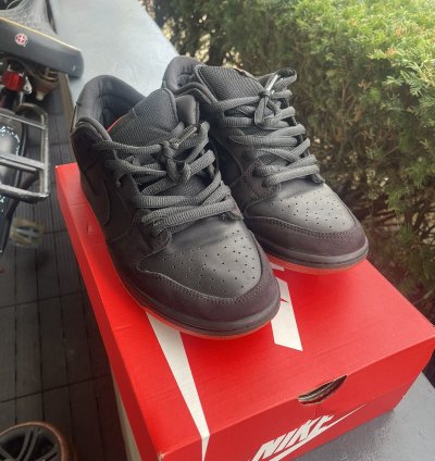 Nike Sb Dunk Low Pro Black Pigeon