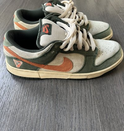 Nike Sb Dunk Low Pro Eire