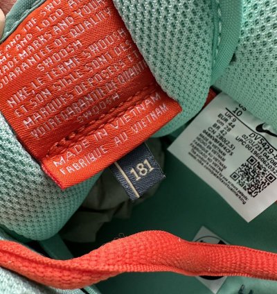 Nike Sb Dunk Low Pro Noise Aqua Emerald Rise Final Drop
