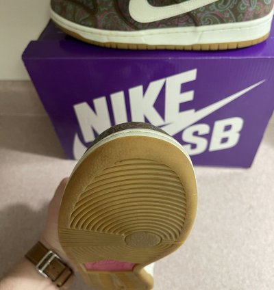 Nike Sb Dunk Low Pro Paisley