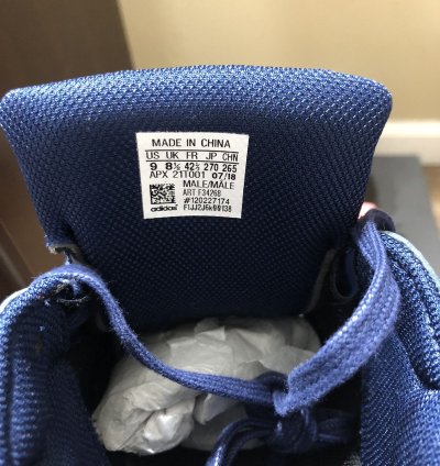 deadstock Adidas Raf Simons Ozweego