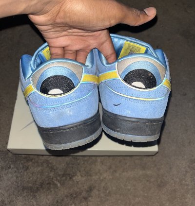 Nike Sb Dunk Low Pro Qs