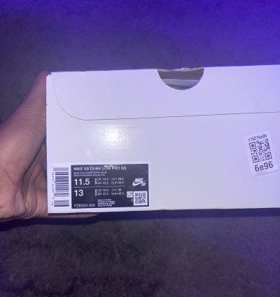 Nike Sb Dunk Low Pro Qs
