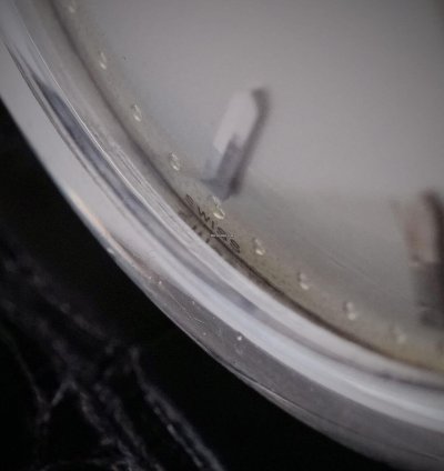 Patek Philippe Calatrava Big Calatrava Raised Enamel Signature Bullet Silver Dial Geneva Seal