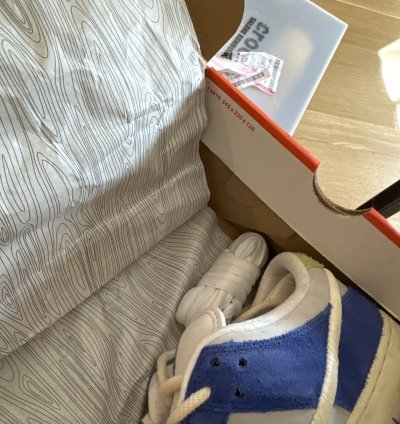 Nike Sb Dunk Low Pro Qs Fly Streetwear Size 13
