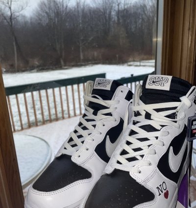 Supreme Dunk Sb High