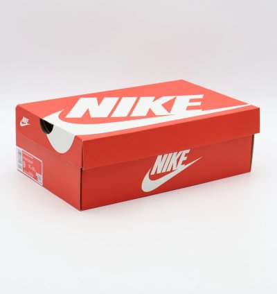 Fj5434-120 Nike Dunk Low Head 2 Head Cojp Natural Black Ale Brown Pecan