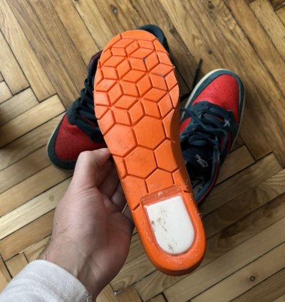 Nike Sb Dunk Low Pro Reverse Shark