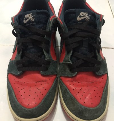 Nike Sb Dunk Low Reverse Shark