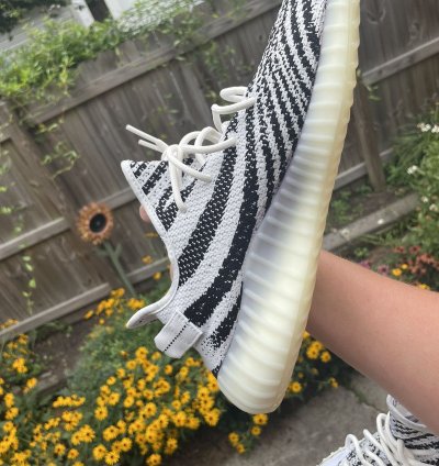 2022 Yeezy 350 Zebras