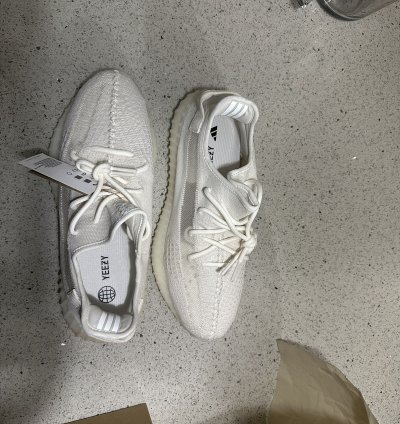 350 V2 Bone